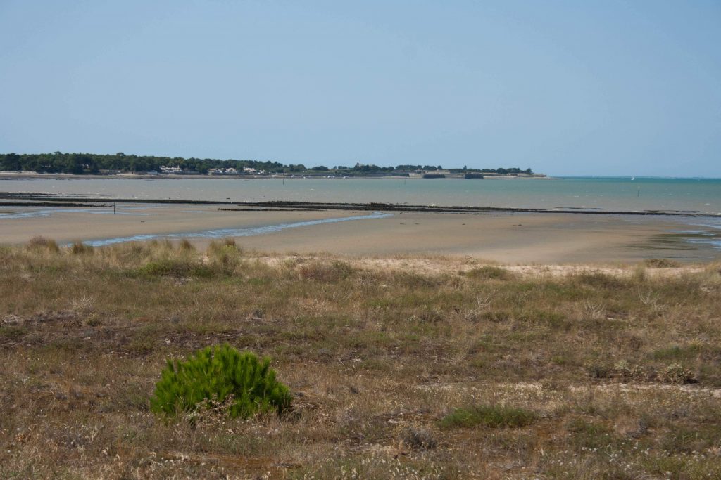 SWOB 2018 - île de ré, marée basse